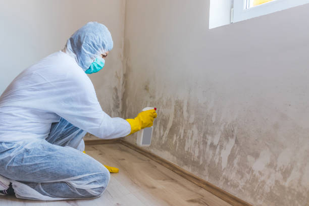 Licensed Commercial Mold Remediation service in Woodbury, NJ - WQB Mold Removal