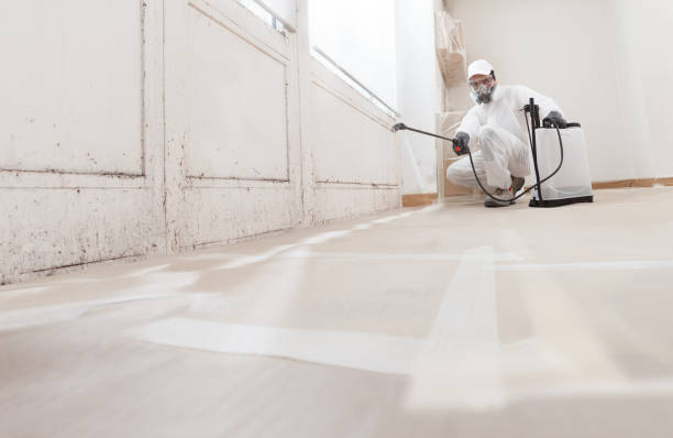 24/7 Emergency Commercial Mold Remediation experts in Woodbury, NJ