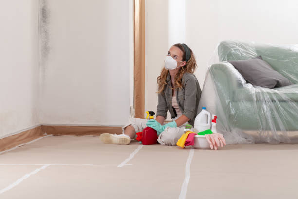 Reliable Commercial Mold Remediation contractor in Woodbury, NJ by WQB Mold Removal
